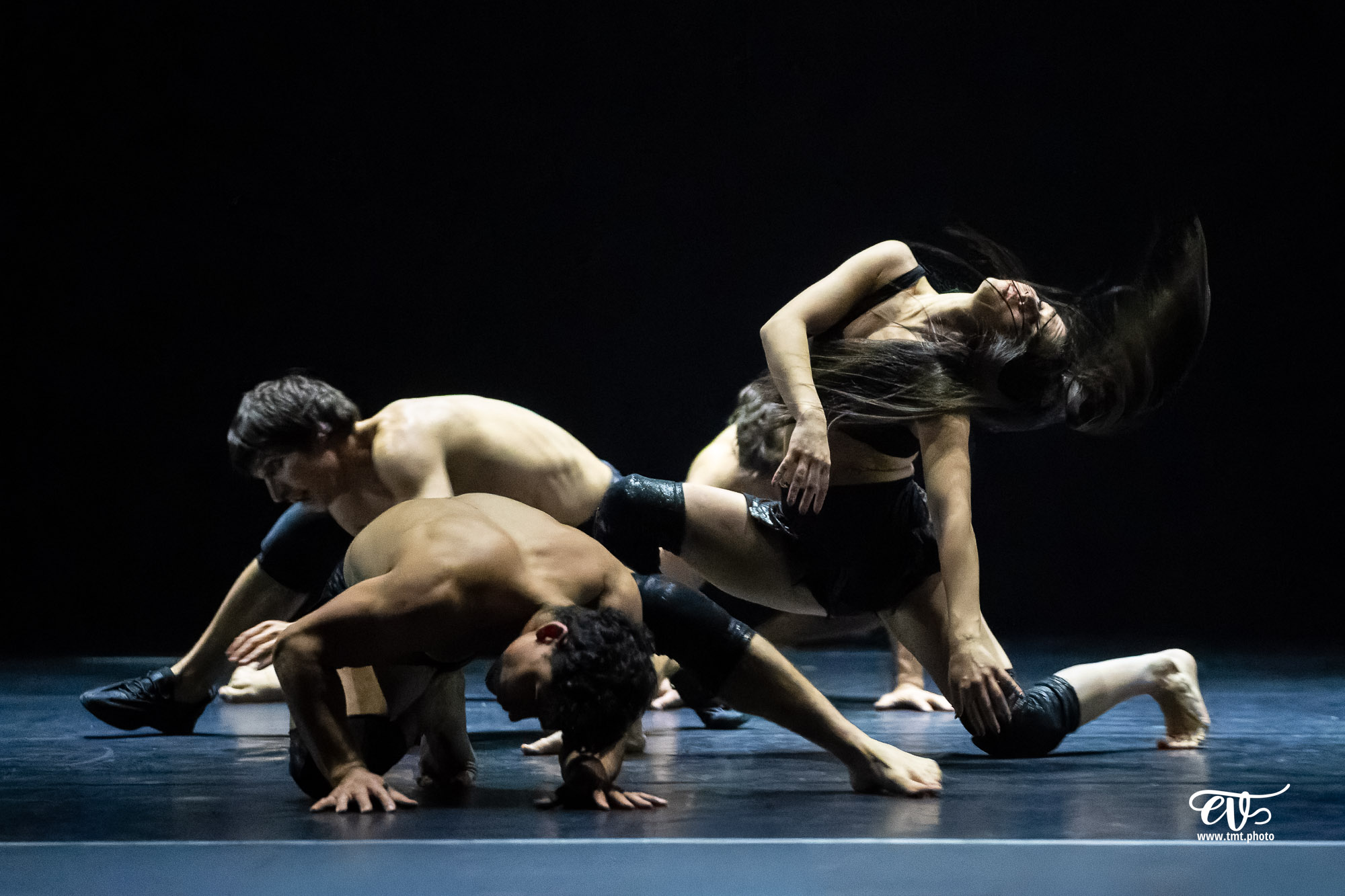 PARADISUM (CIE RECIRQUEL)